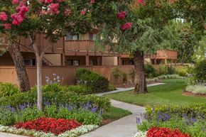 Redlands apartment for rent - A garden with a variety of flowers in the foreground and a building in the background.