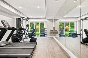 Mahtomedi apartment for rent - A gym with treadmills, exercise balls, and mirrors.