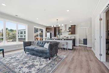 Mahtomedi apartment for rent - A modern living room with a grey sofa and a patterned rug.