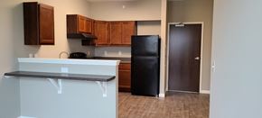 Kokomo apartment for rent - a kitchen with a refrigerator and wooden cabinets and a counter