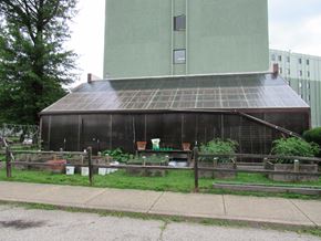 Evansville apartment for rent - an old greenhouse with a tall building in the background