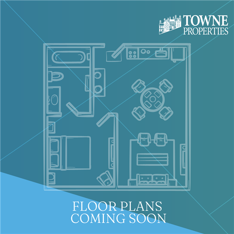 Floor plan for studio, 1 bath, 250 sqft