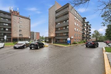 Hamilton apartment for rent - A parking lot with cars and two buildings in the background.