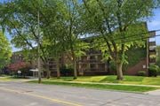 Hamilton apartment for rent - A tree with green leaves stands in front of a building.