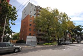 Hamilton apartment for rent - A street view with a car, a tree and a building.