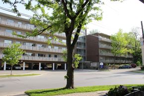 Hamilton apartment for rent - A tree stands in front of apartment buildings.
