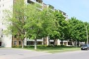 Hamilton apartment for rent - A tree in front of a building.