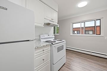 Hamilton apartment for rent - A white kitchen with a fridge, stove and oven.