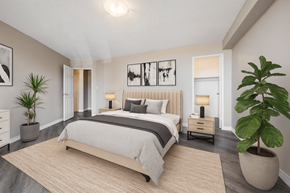 Hamilton apartment for rent - A bedroom with a large bed and a plant on the side table.