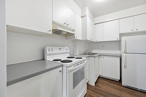 Hamilton apartment for rent - A white kitchen with a stove, sink, and refrigerator.