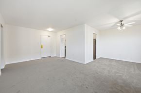 Hamilton apartment for rent - A spacious room with a ceiling fan and carpeted floor.