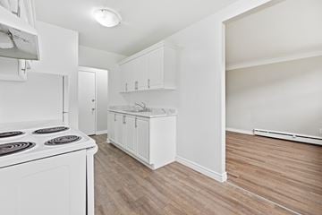 Hamilton apartment for rent - A white kitchen with a stove top oven and wooden flooring.