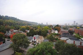 Hamilton apartment for rent - A view of a residential area with houses and trees.