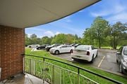 Stoney Creek apartment for rent - A parking lot with cars and trees in the background.