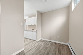 Hamilton apartment for rent - A room with a kitchen area in the background.