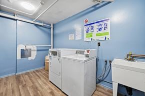 Hamilton apartment for rent - A blue wall with a white sink and a washing machine.