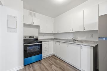 Hamilton apartment for rent - A modern kitchen with white cabinets and a blue stove top.