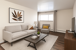 Welland apartment for rent - A living room with a grey couch, a yellow pillow, a coffee table, a lamp, a plant, and a television.