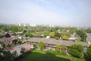 Hamilton apartment for rent - A residential area with houses and apartment buildings.
