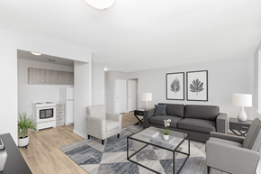 Hamilton apartment for rent - A modern living room with a grey couch, a coffee table, and a potted plant.