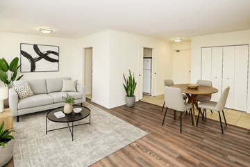 Kitchener apartment for rent - A living room with a grey couch, a coffee table, a dining table with chairs, and a plant.