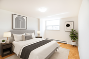 Hamilton apartment for rent - A bedroom with a large bed and a plant.