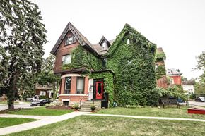 Hamilton apartment for rent - A house with a red door and a green plant growing on it.