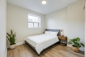 Hamilton apartment for rent - A bedroom with a white bed, a small table with a lamp, and two potted plants.