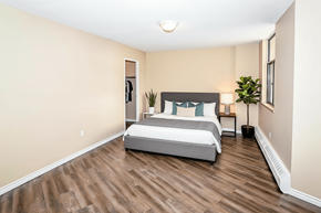 Hamilton apartment for rent - A bedroom with a bed, nightstand, and a plant.