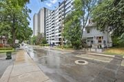 Hamilton apartment for rent - A wet street with a tree and a building in the background.