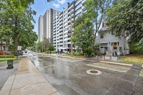 Hamilton apartment for rent - A wet street with a tree and a building in the background.