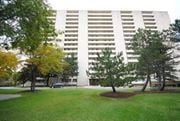 Hamilton apartment for rent - A large white building with a lot of windows and a tree in front of it.