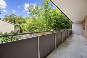 Dundas apartment for rent - A long concrete balcony with a grey railing and trees in the background.
