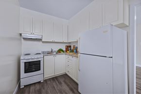 Hamilton apartment for rent - A white kitchen with a fridge, stove and cupboards.