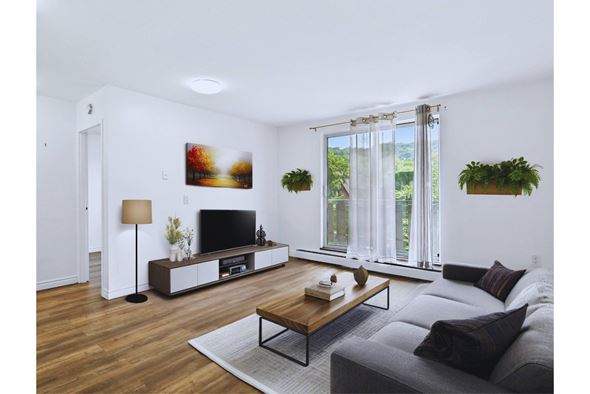 Hamilton apartment for rent - A living room with a grey couch and a wooden coffee table.