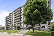 Hamilton apartment for rent - A large tree is in front of a grey apartment building.