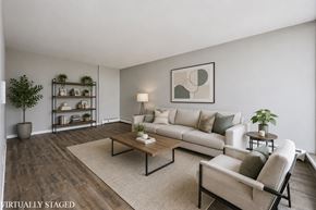 Hamilton apartment for rent - A living room with a couch, a coffee table, and a potted plant.