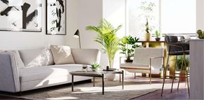 Kitchener apartment for rent - Modern Living Area at Ophelia on Queen Apartments, Ontario