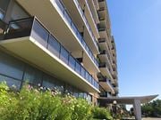 St. Catharines apartment for rent - A modern building with balconies and plants in front.