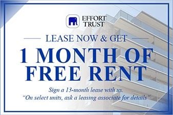 Hamilton apartment for rent - A sign advertising a free month of rent for signing a 13-month lease.