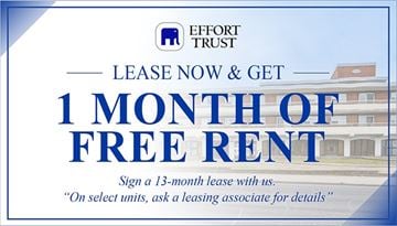Hamilton apartment for rent - A sign advertising a 1 month lease with a free rent offer.