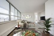 Hamilton apartment for rent - A living room with a couch, a coffee table, and a potted plant.
