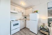 Hamilton apartment for rent - A small, clean, and well-organized kitchen with white appliances and wooden cabinets.