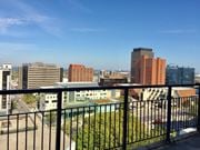 Hamilton apartment for rent - A cityscape with buildings of various heights and a clear blue sky.