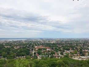 Hamilton apartment for rent - A cityscape with buildings and trees under a cloudy sky.