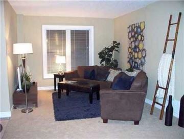 Hamilton apartment for rent - A living room with a brown couch and a blue rug.