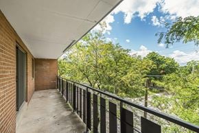 Hamilton apartment for rent - A balcony with a black railing and a view of trees and a blue sky.