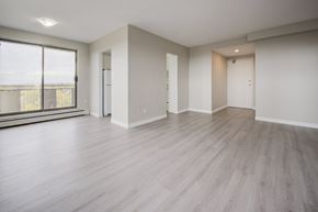 Hamilton apartment for rent - A spacious room with wooden flooring and white walls.