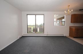 Hamilton apartment for rent - A large empty room with a grey carpet and a chandelier.