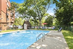 Hamilton apartment for rent - A swimming pool surrounded by trees and a grassy area.